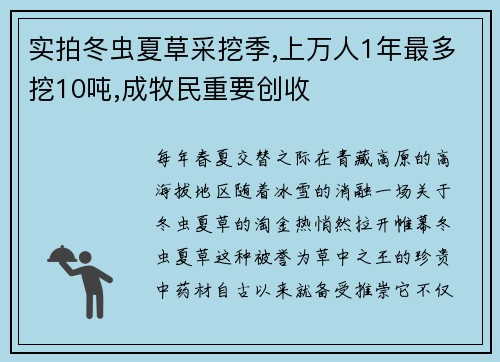 实拍冬虫夏草采挖季,上万人1年最多挖10吨,成牧民重要创收